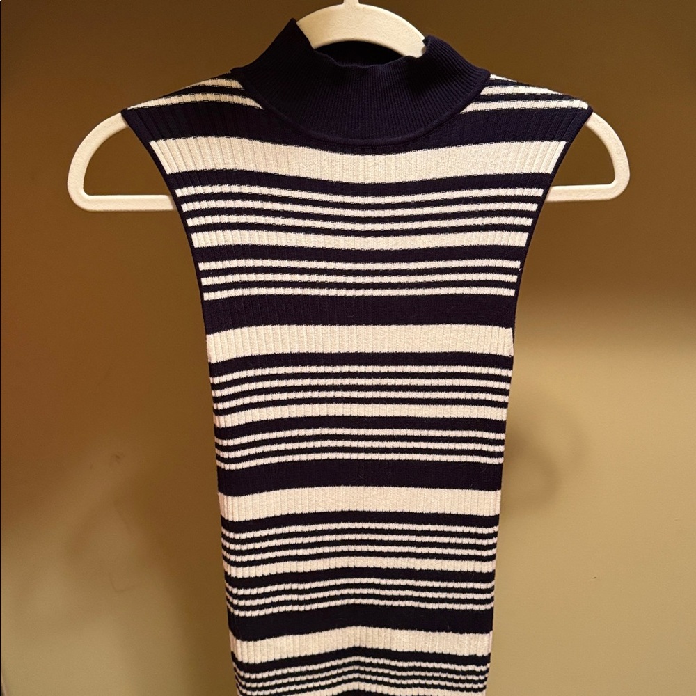 Miss Selfridge Striped Navy and White Sweater